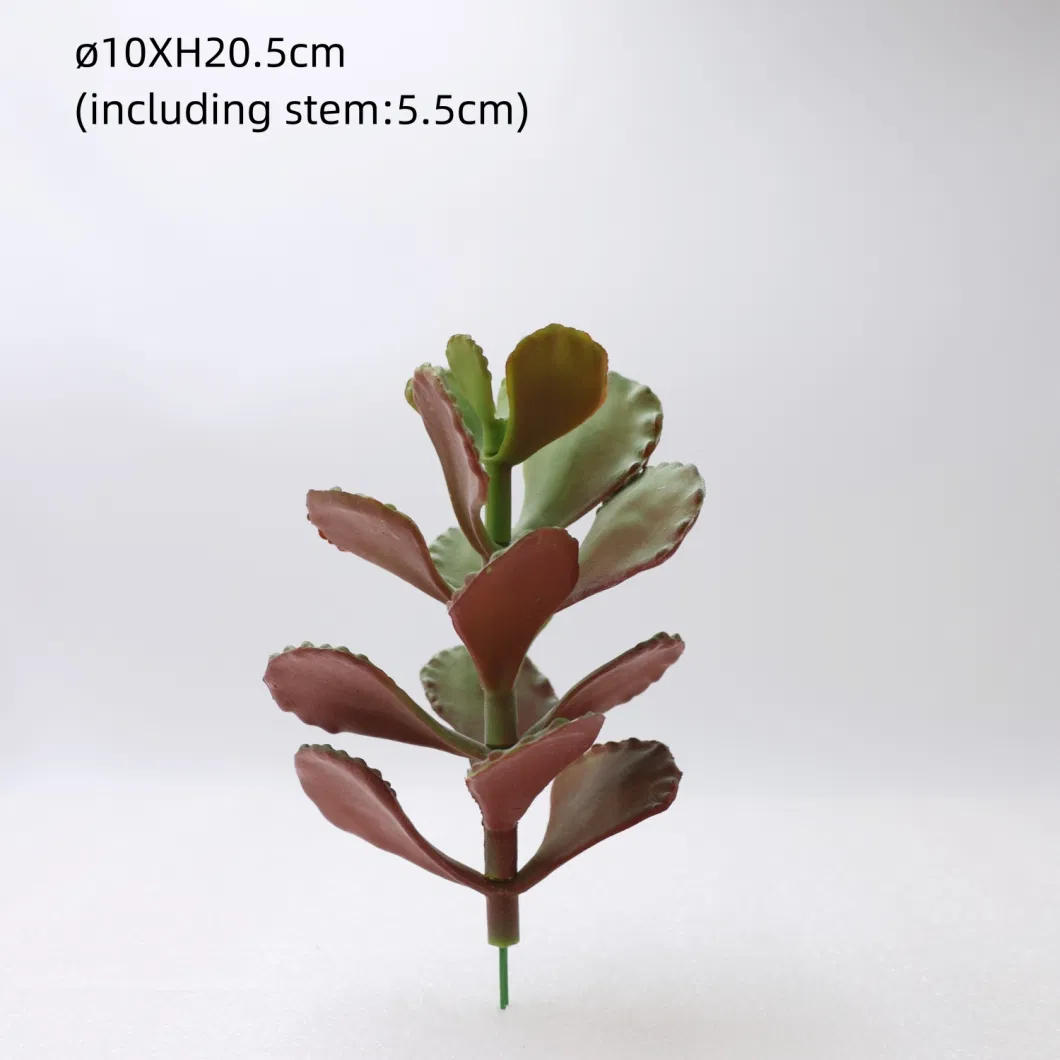 Wholesale Artificial Mini Succulent Arrangement Plastic Succulent for Pot Plant