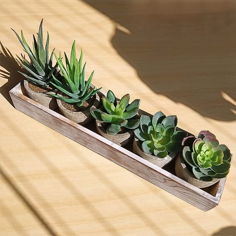 Set of 5 Mini Fake Succulent Cactus Aloe Potted Plant Arrangements Decorative Assorted Potted Artificial Succulents in Gray Wood Pots