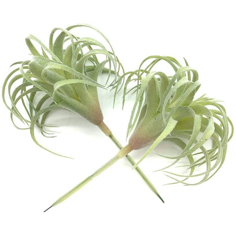 2 PCS Artificial Succulents Plants Unpotted Fake Flocking Tillandsia Air Plants Succulent Bromeliads Bouquet Arrangements Faux Plants DIY for Decor