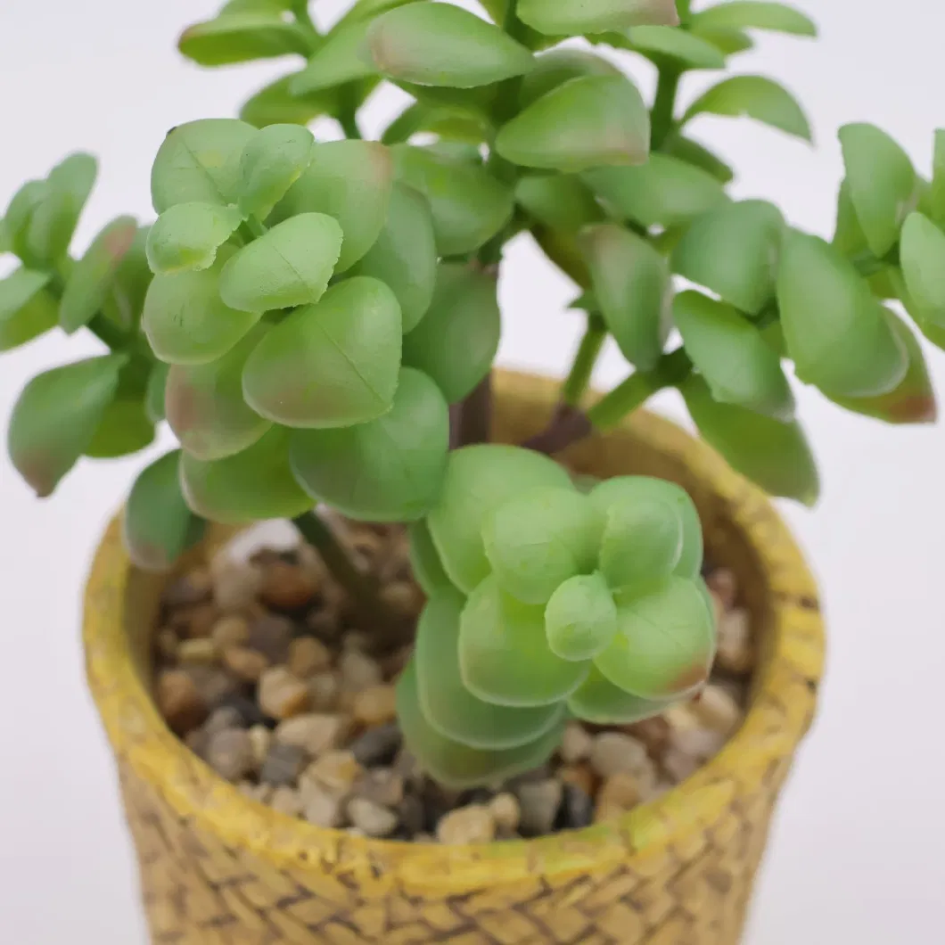 Wholesale Mini Artificial Plastic Succulent Plants Bonsai with Ceramic Planter Pots