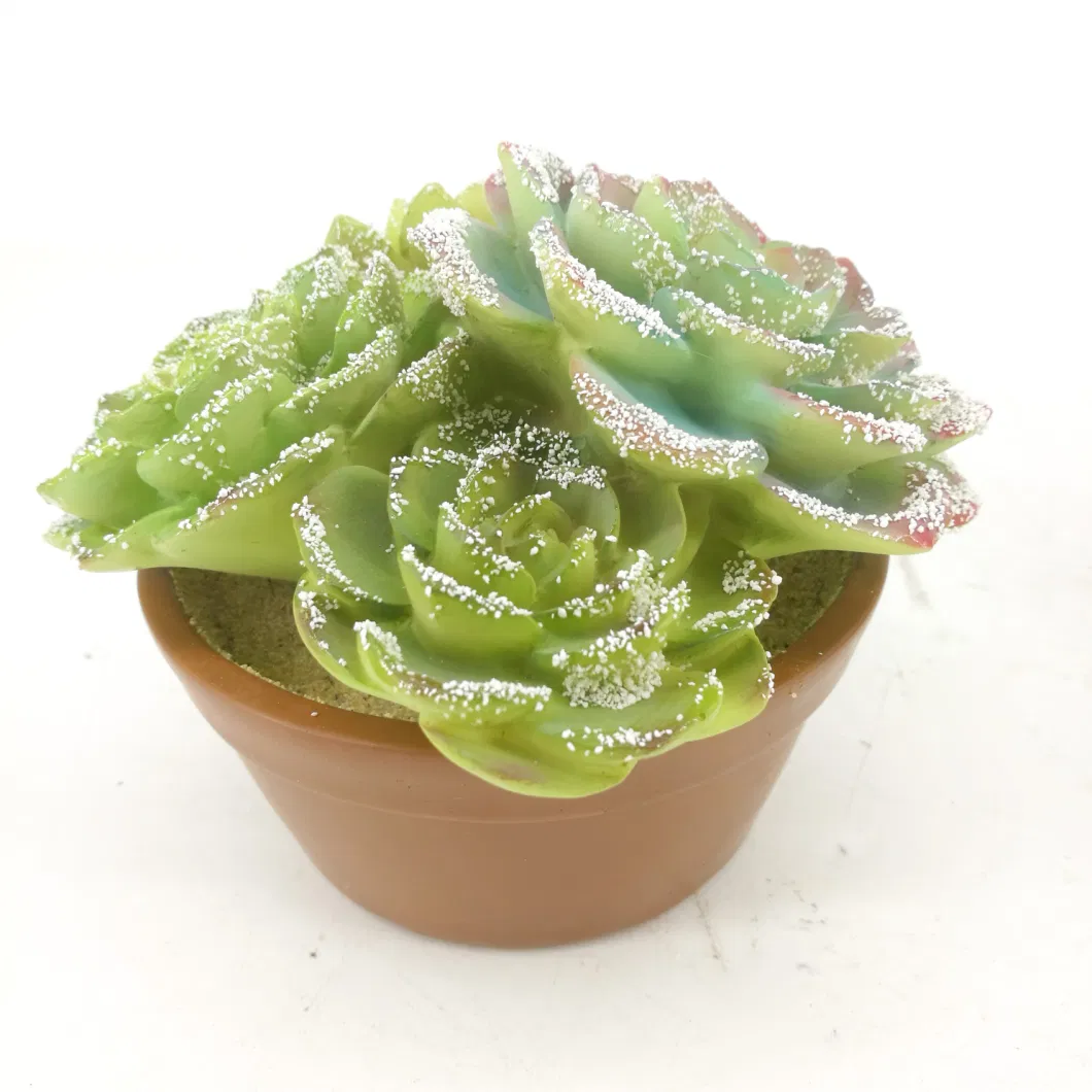 Cement Material Mini Succulent Pots for Sale