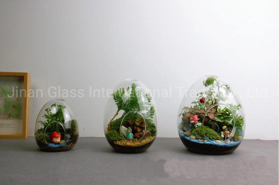 2021 Wholesale Glass Vase of Succulent Plants Hydroponics Flower