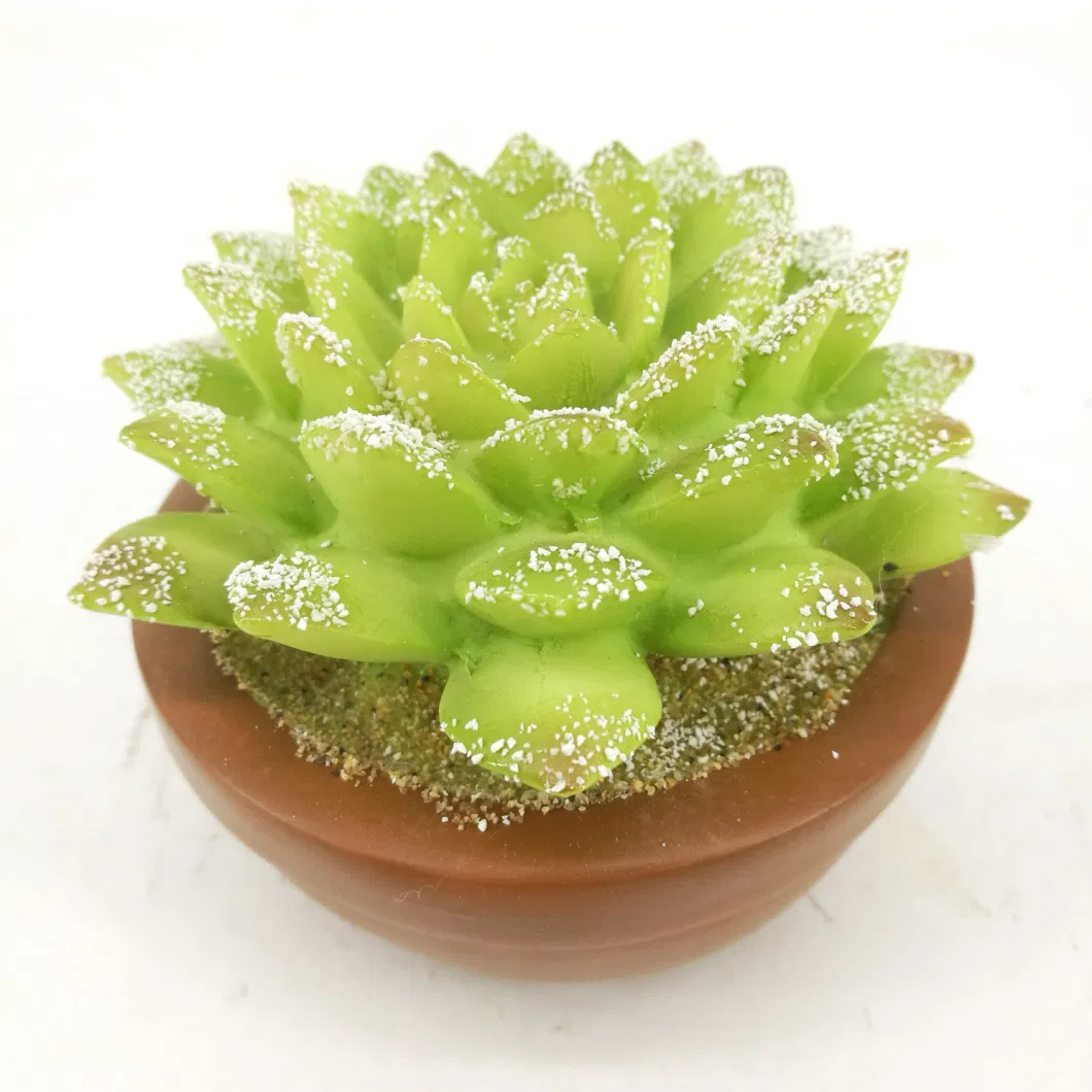 New Mini Size Cement Pots Succulent Planter