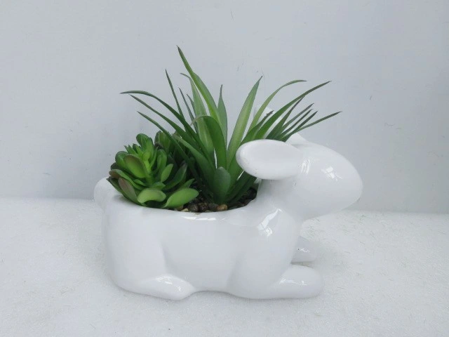 Greenery Bonsai Home Decor Artificial Succulent Plant with Ceramic Pot