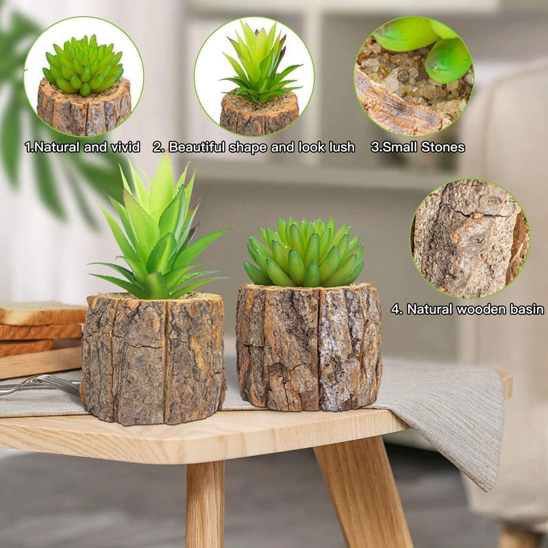 2 Pack Artificial Succulents Plants in Pots for Home Decor