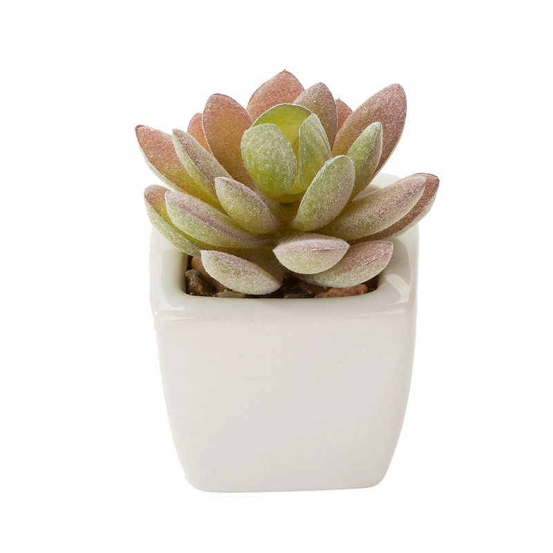 Indoor Design Brilliant White Ceramic Succulent Pots Customized Planter