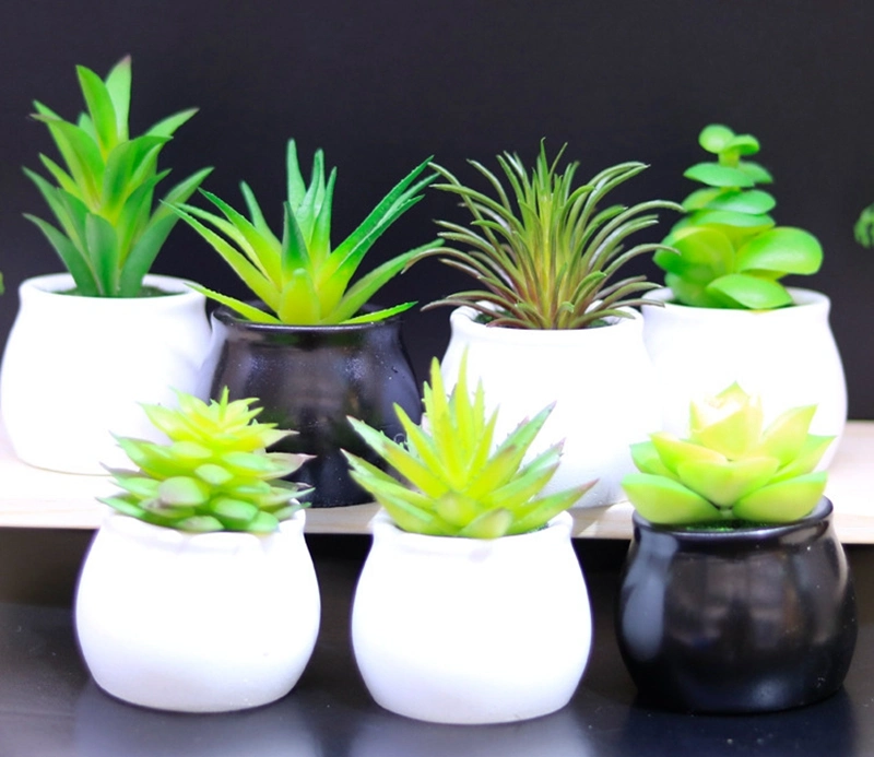 Mini Artificial Succulent Plants in Ceramics Planter Pots