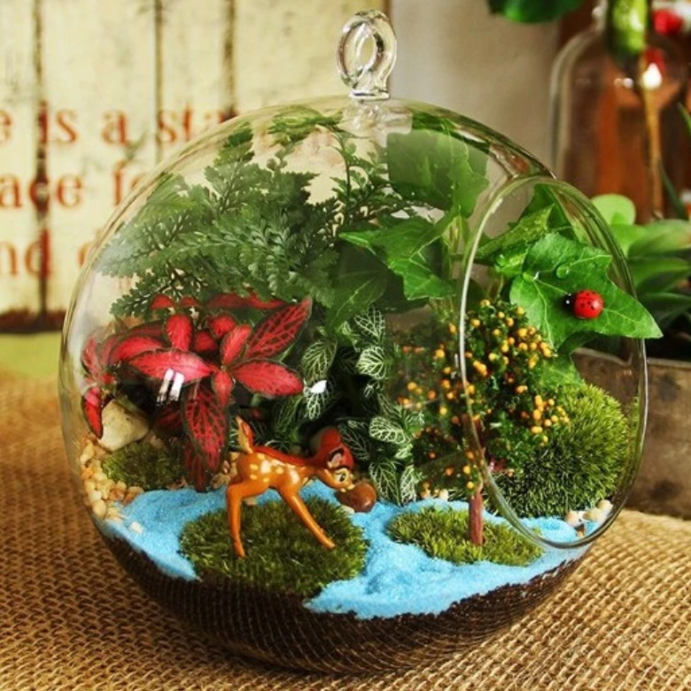 Hanging Glass Flower Pot, /Plant Terrarium Bauble/Air Plant Pot Container/ for Succulents Cactus Moss Miniature Garden Decor