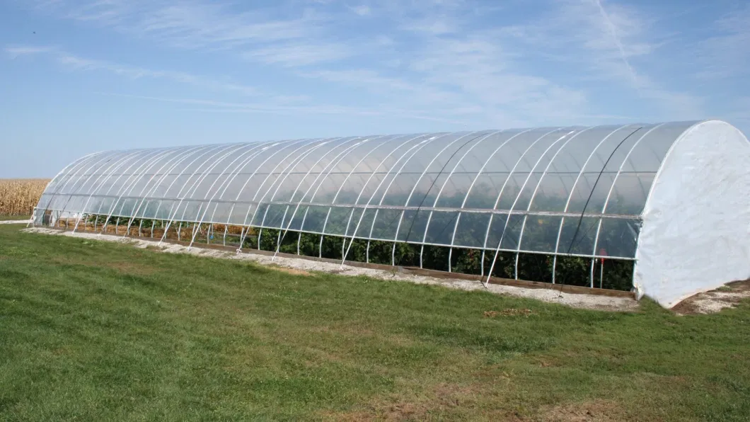 Complete Set of Greenhouse Frames Made of Galvanized Steel for Placing Succulent Plants