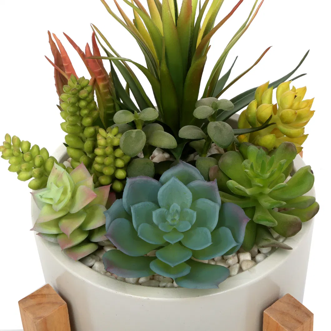 Wholesale Custom Small Potted Succulent Artificial Plants in Cement Flower Pot