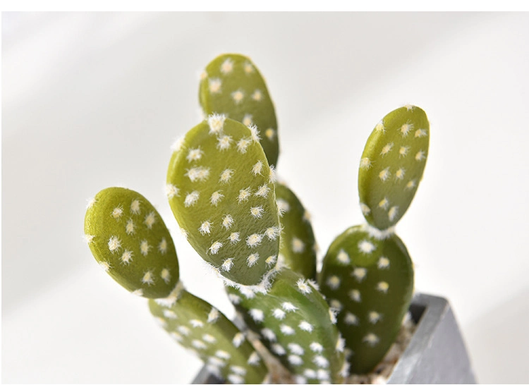 Faux Succulent Cactus Faked Air Plants with Gray Pots for Desktop