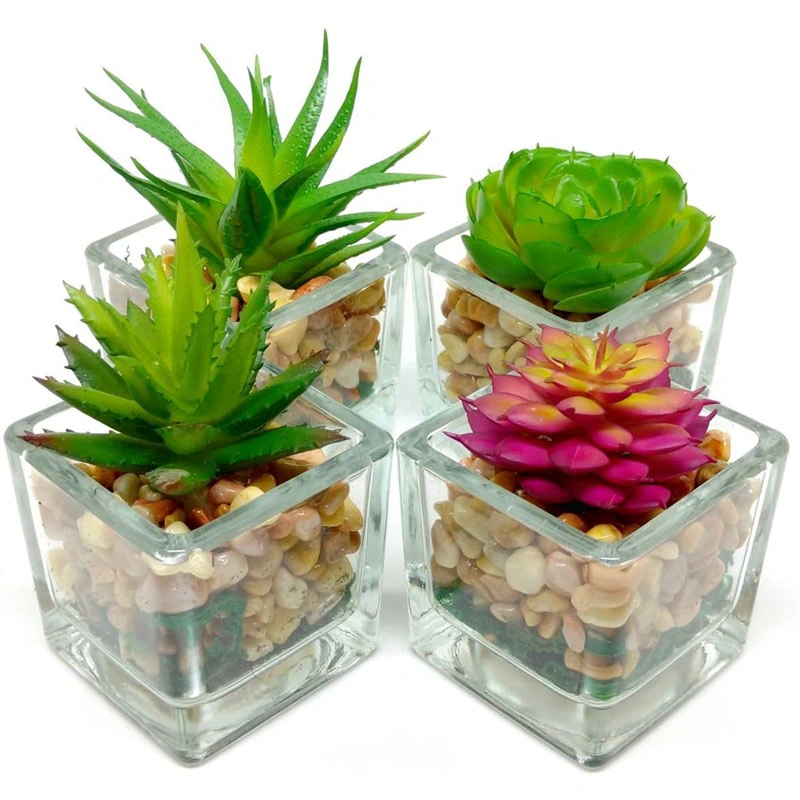 Small Glass Cube Artificial Succulent Planters 4 Set Assorted Faux Plants with Smooth Rocks