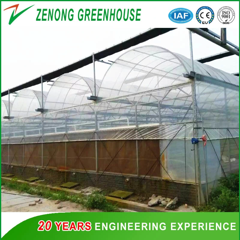 Low Cost Automatic Controlled Greenhouse Covered with Po/PE Film for Planting Vegetables/Medical/Succulents/Meaty Flowers