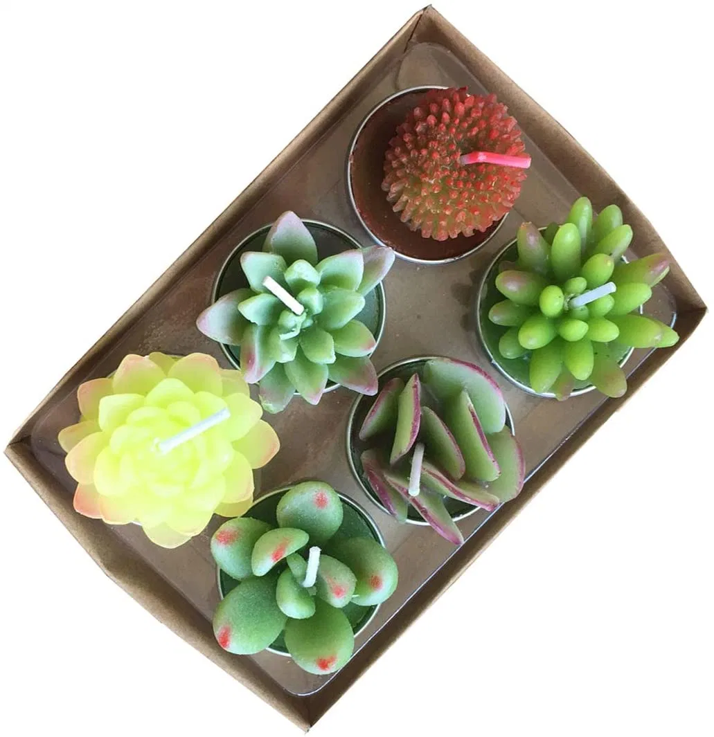 Succulent Cactus Tea Light Candles for Birthday Party Favors Wedding Decor Gift Sets