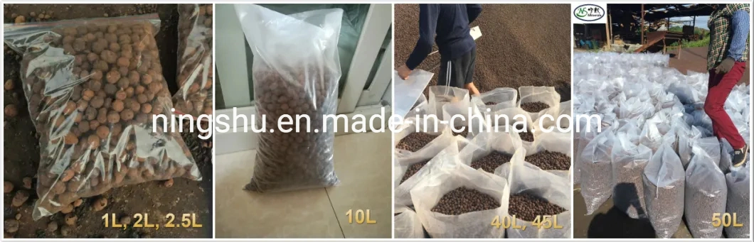 100% Inert, High Quality, Durable Lightweight 8-16mm Clay Pebbles for Hydroponic Plants