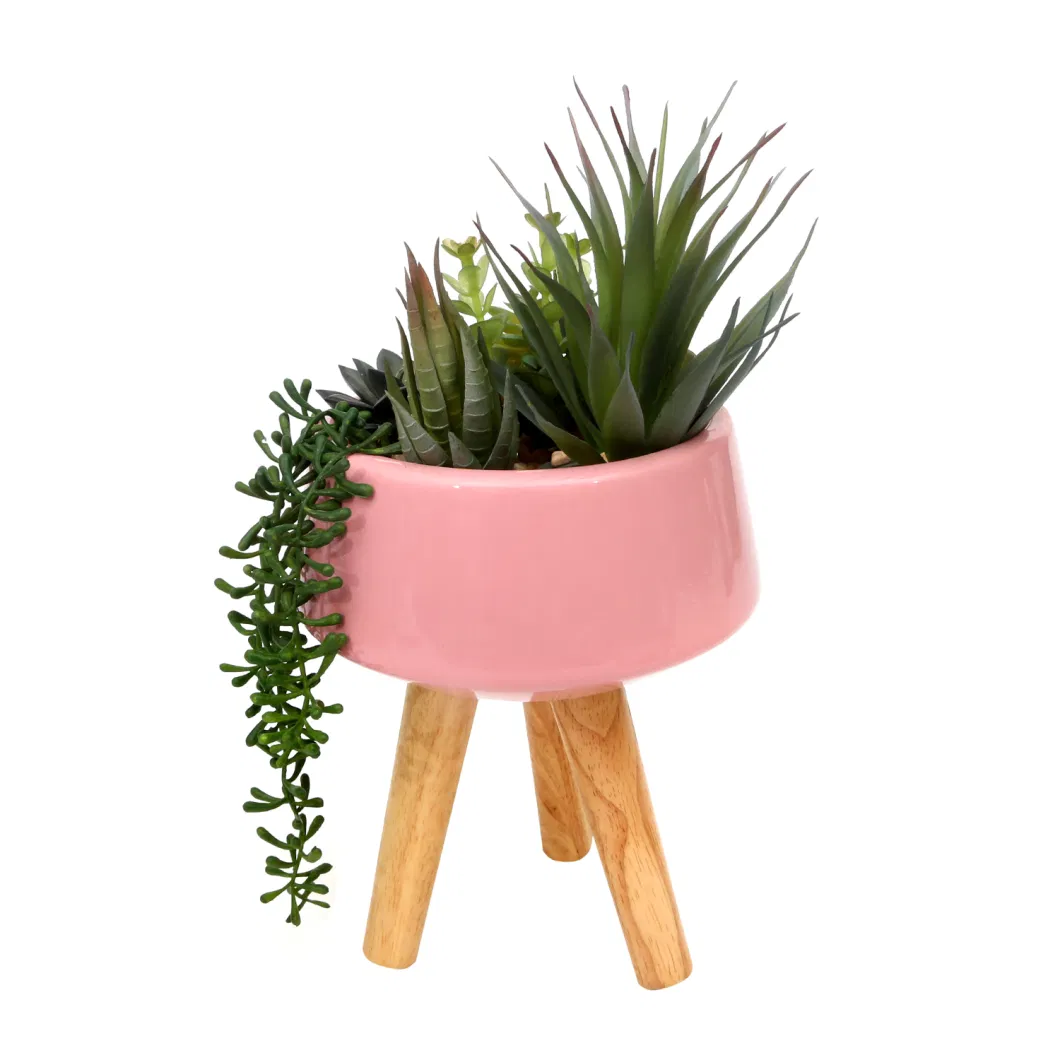 Colorful Simulation Decorative Plastic Artificial Succulent Plants for Indoor Table