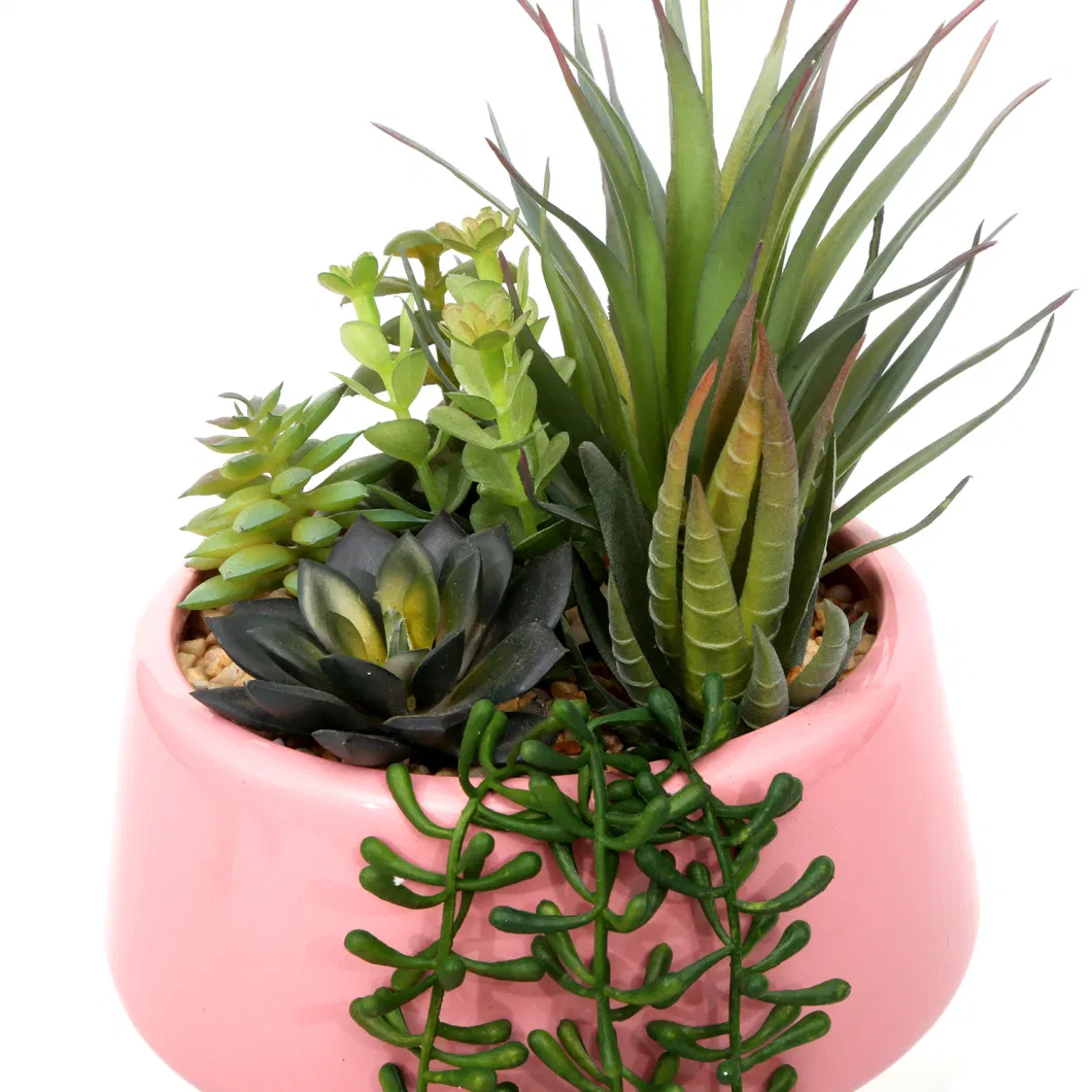 Colorful Simulation Decorative Plastic Artificial Succulent Plants for Indoor Table