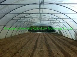 Agriculture/Single-Span/Tunnel Plastic Film Greenhouse with Cooling System for Lettuce Planting