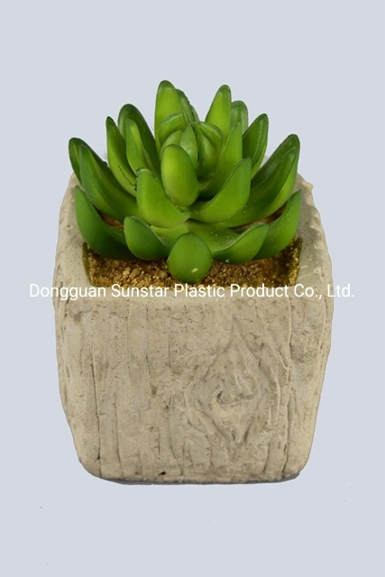 Plastic Artificial Plant Succulent with Pot for Decoration (48982)