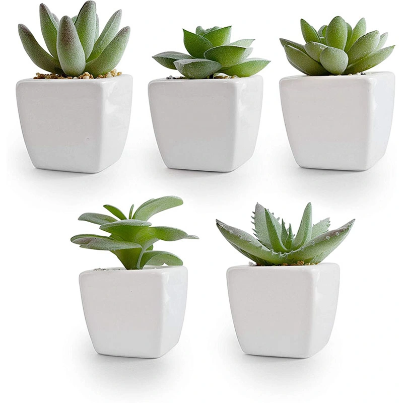 Set of 5 Artificial Succulent Plants in Ceramic Pots - Assorted Fake Succulents - Mini Succulent Plants - Small Succulent Plants for Decor