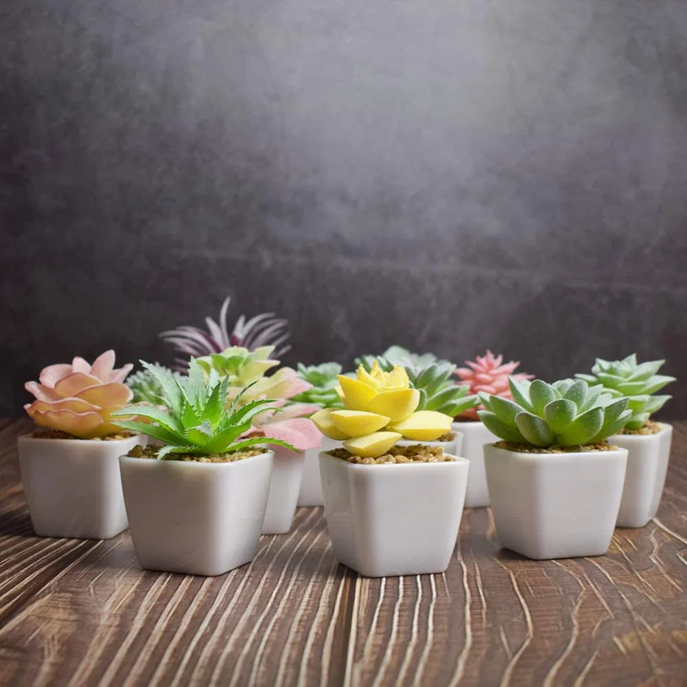 Fake Succulent Plants Artificial Flower Faux Succulents 12PCS Mini Plastic Potted Artificial Plant for Home Decor Office Table Bathroom Dorm Decoration