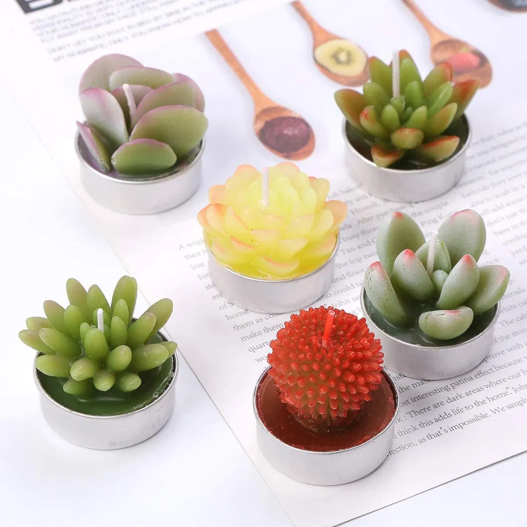 Succulent Cactus Tea Light Candles for Birthday Party Favors Wedding Decor Gift Sets