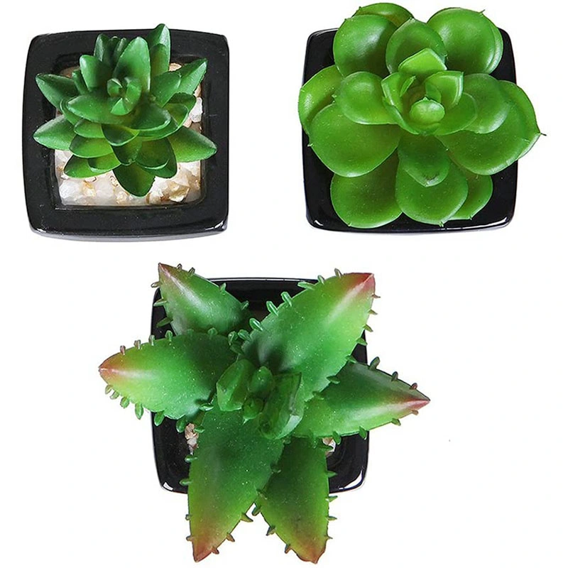 3PCS Small Mini Potted Succulents Plants Arrangements Artificial Fake Plants in Pots