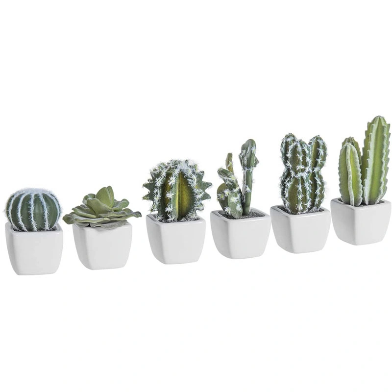 Artificial Mini Succulent &amp; Cactus Plants in White Cube-Shaped Pots for Home Decor, Set of 6