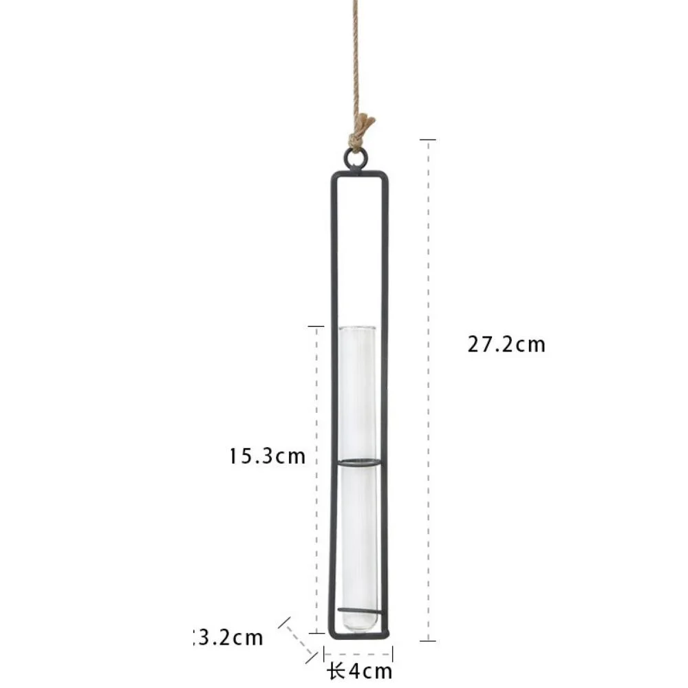 Clear Glass Test Tube Flower Vases Wall Hanging Air Plant Transparent Wbb21898