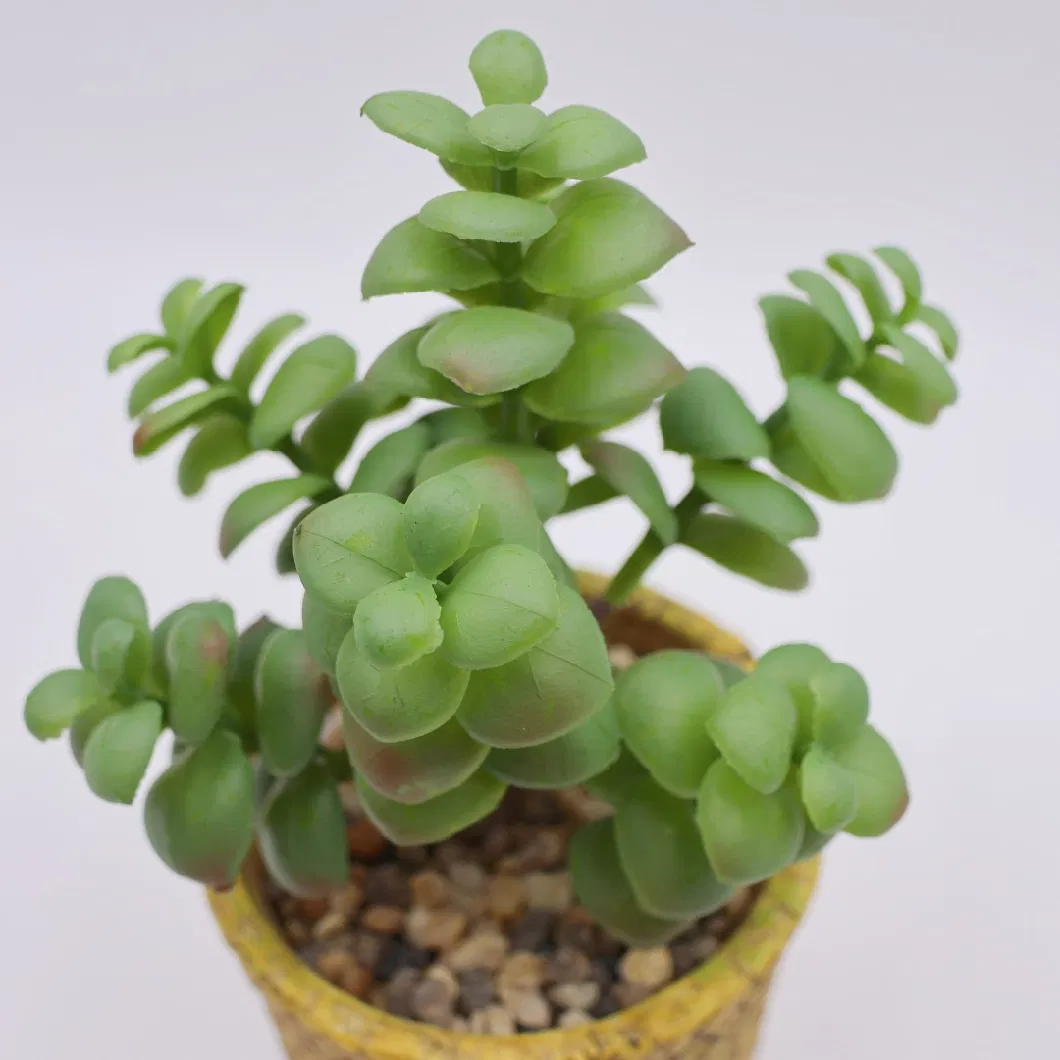 Wholesale Mini Artificial Plastic Succulent Plants Bonsai with Ceramic Planter Pots