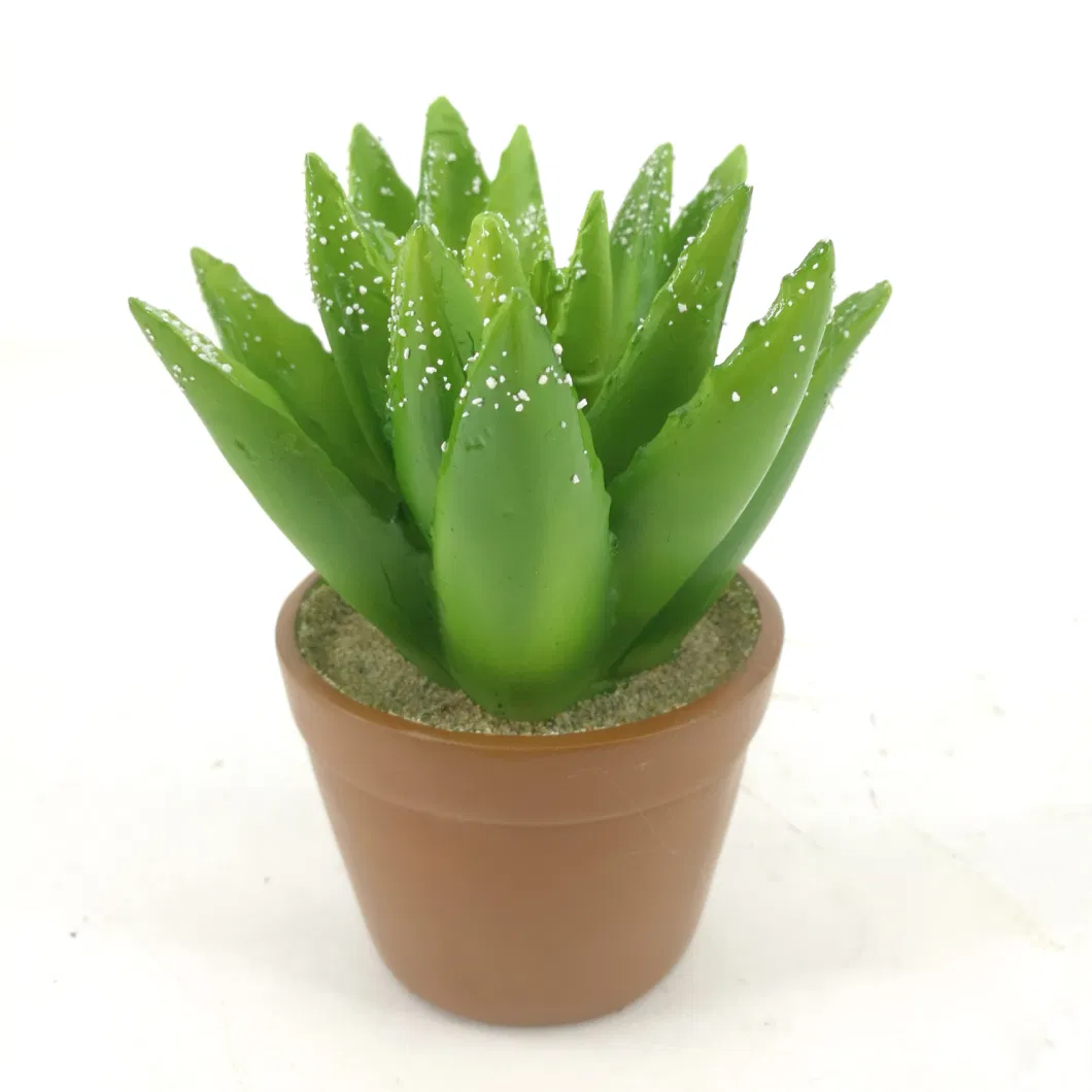 New Mini Size Cement Pots Succulent Planter