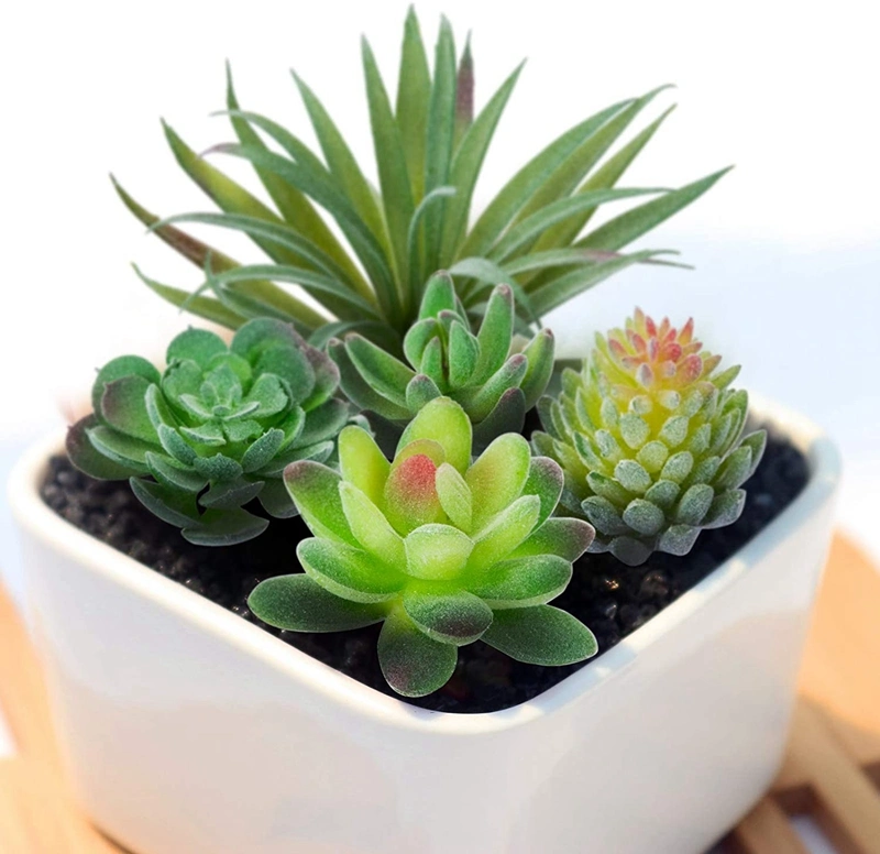 16 Pack Artificial Succulent Flocking Plants Unpotted Mini Fake Succulents Plant for Garden Arrangement Decor