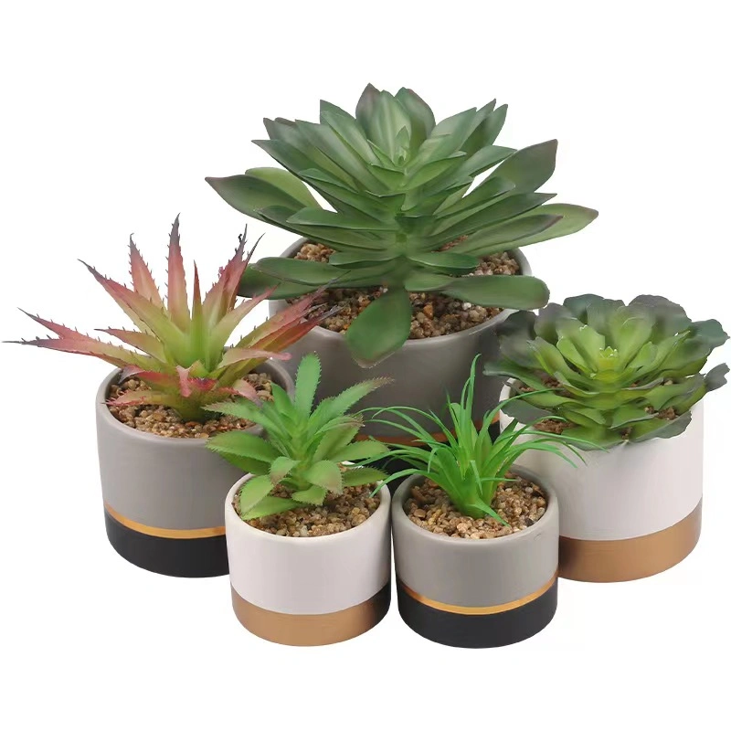 Popular Office Fake Potted Plants Decorative Plastic Mini Artificial Succulent Bonsai Wholesale