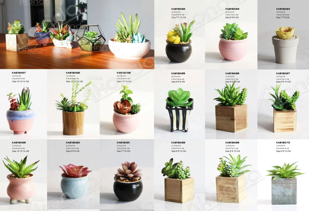Fake Plants Plastic Artificial Colorful Succulents for Sale