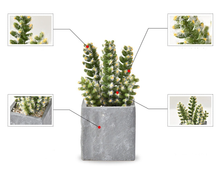 Artificial Succulent Cactus Faked Air Plants with Gray Pots for Desktop