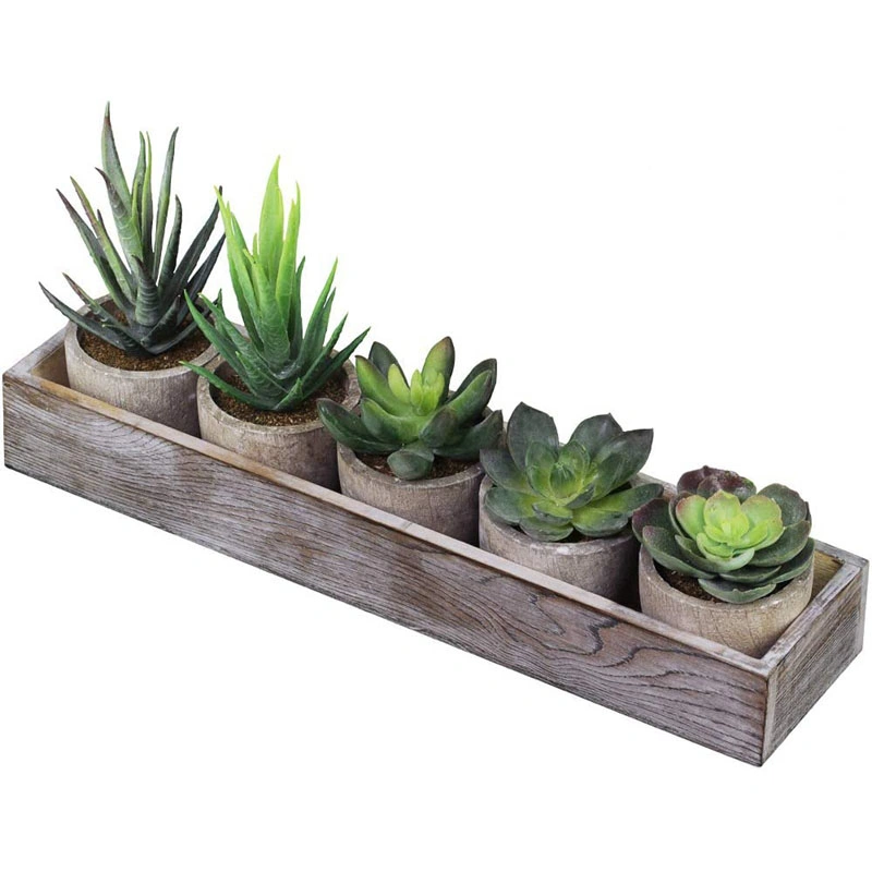 Set of 5 Mini Fake Succulent Cactus Aloe Potted Plant Arrangements Decorative Assorted Potted Artificial Succulents in Gray Wood Pots