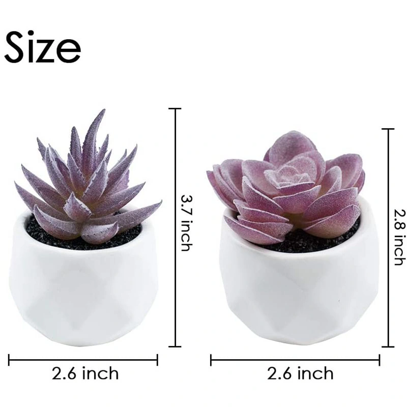 4 Pieces Faux Succulents in White Ceramic Pots Artificial Succulents Set Artificial Flocked Succulents for Desk, Office, Living Room and Home Decoration