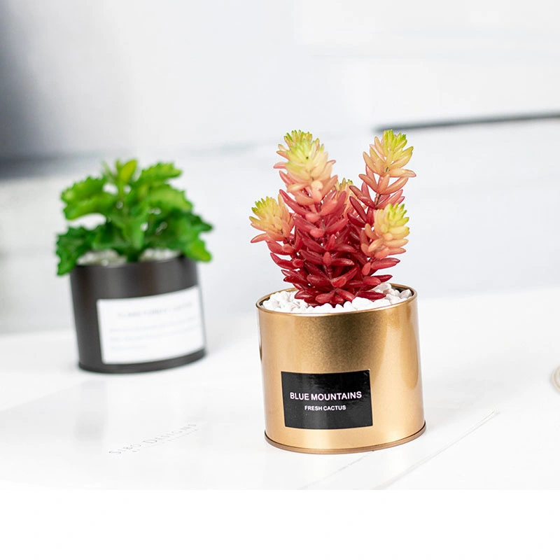 Mini Artificial Plastic Succulent with Special Golden Can Pot Design