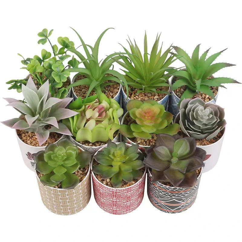 Hot Sale Garden Supplies Cement Succulent Customized Decorative Flower Planter