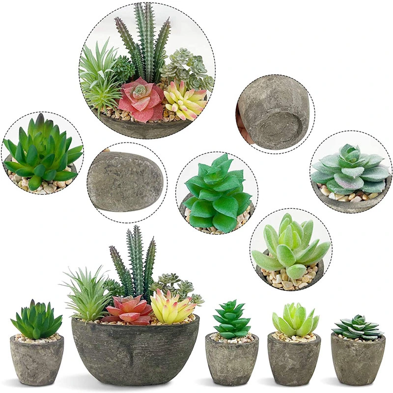 Succulents Plants Artificial Set of 5, Realistic Fake Succulents