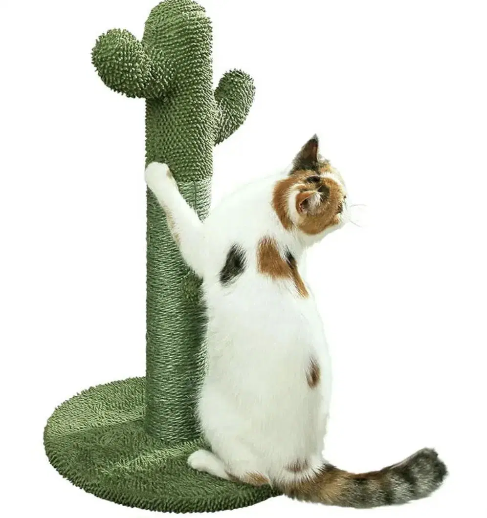 Durable Sisal Cactus Cat Climbing Frame Toys Interactive Cat Scratching