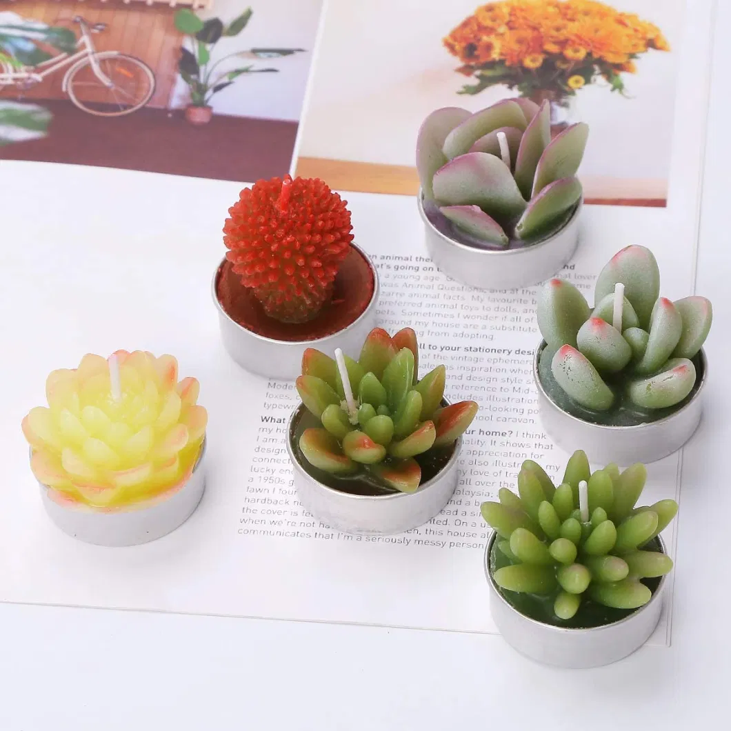 Succulent Cactus Tea Light Candles for Birthday Party Favors Wedding Decor Gift Sets