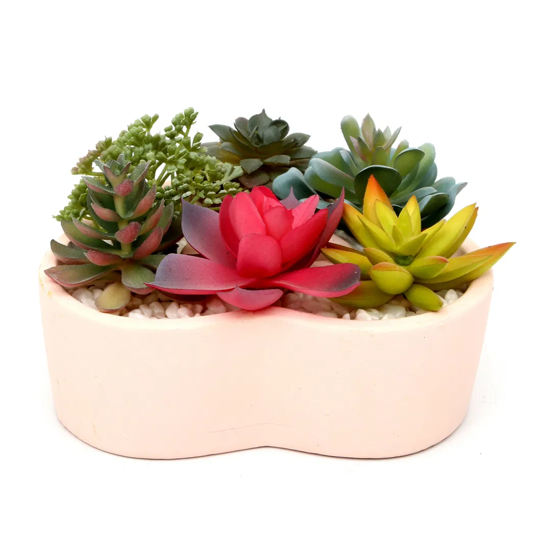 Mini Artificial Succulent Plants with Ceramic Planter Pots Set Home Office Decoration