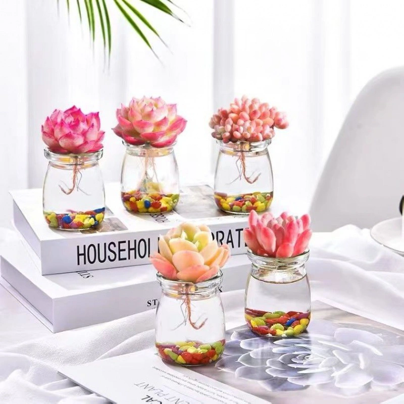 Succulent Plant Hydroponic Clear Bud Vases Mini Glass Flower Vases Dormitory Office Home Table Decor