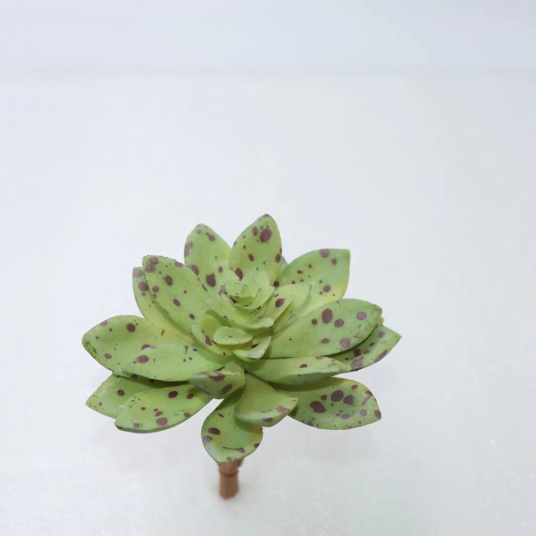 Wholesale Artificial Mini Succulent Arrangement Plastic Succulent for Pot Plant