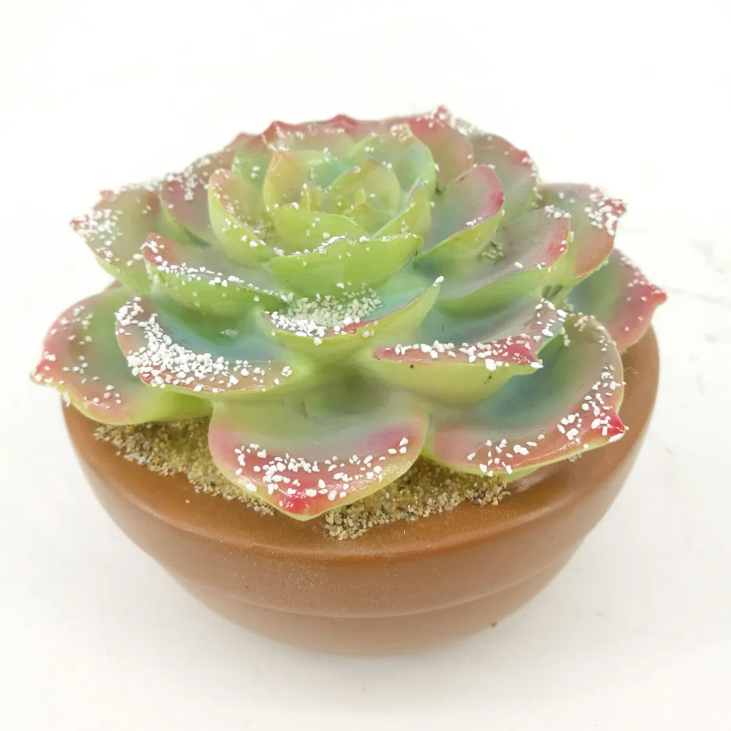 New Mini Size Cement Pots Succulent Planter