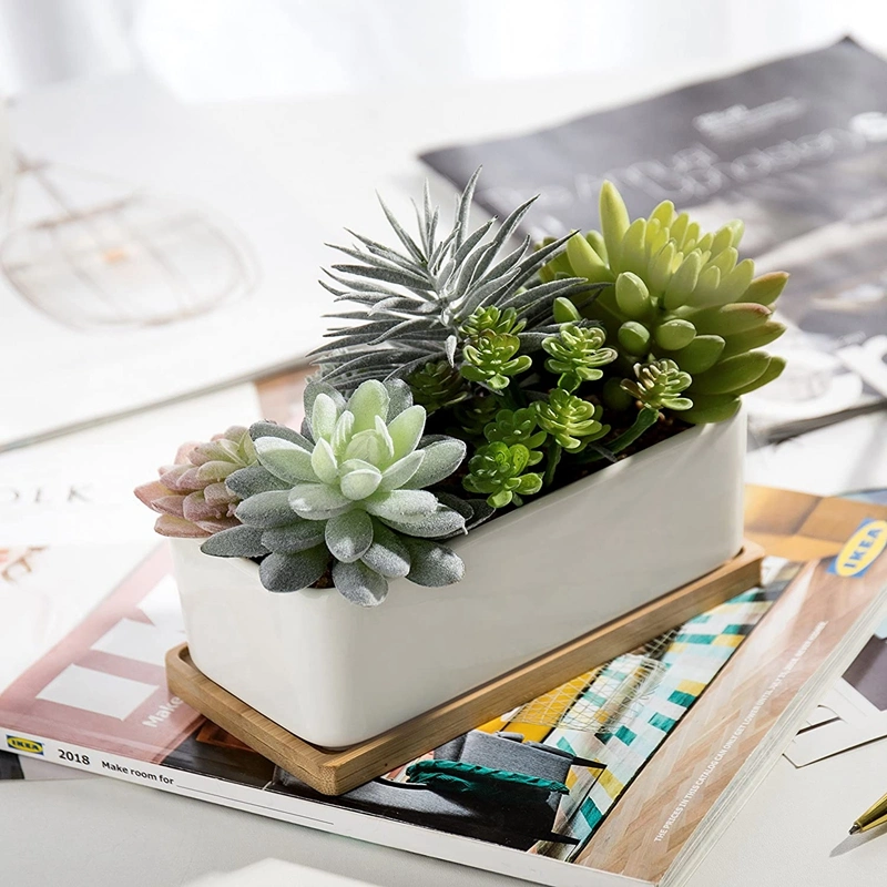 Potted Artificial Succulents in Ceramic Pot with Bamboo Tray