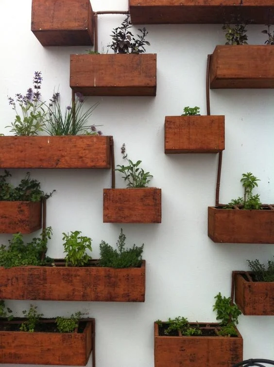 Hanging Wall Vase Planters for Succulents or Herbs