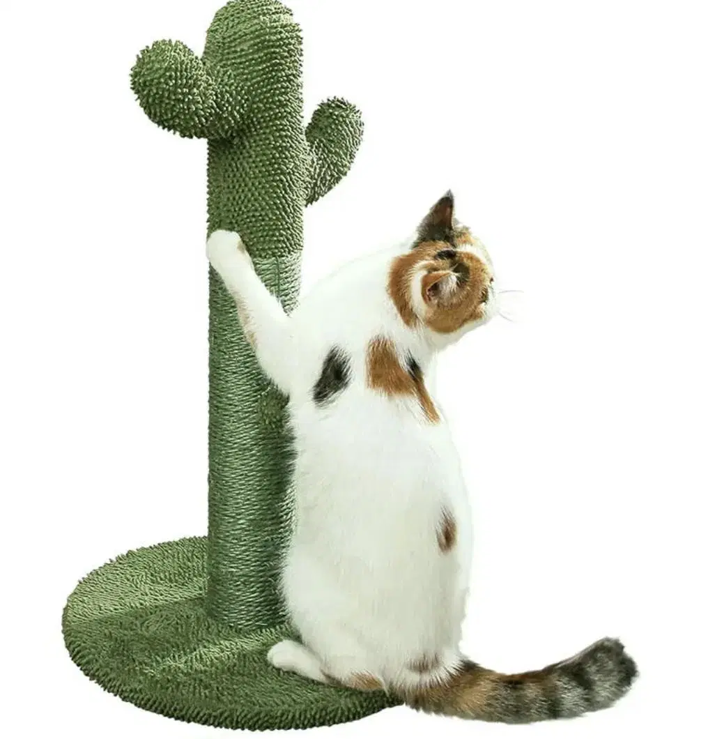 Durable Sisal Cactus Cat Climbing Frame Toys Interactive Cat Scratching