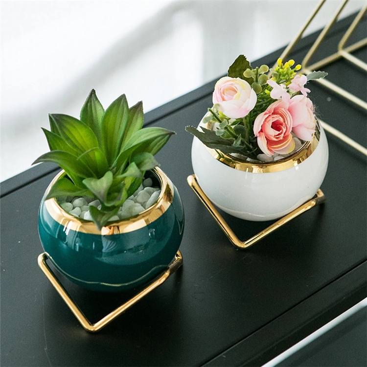 Creative Garden Succulent Pot Home Balcony Mini Ceramic Round Cactus Plant Flower Pots with Metal Stand
